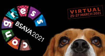 BSAVA Congress 2021 moves online